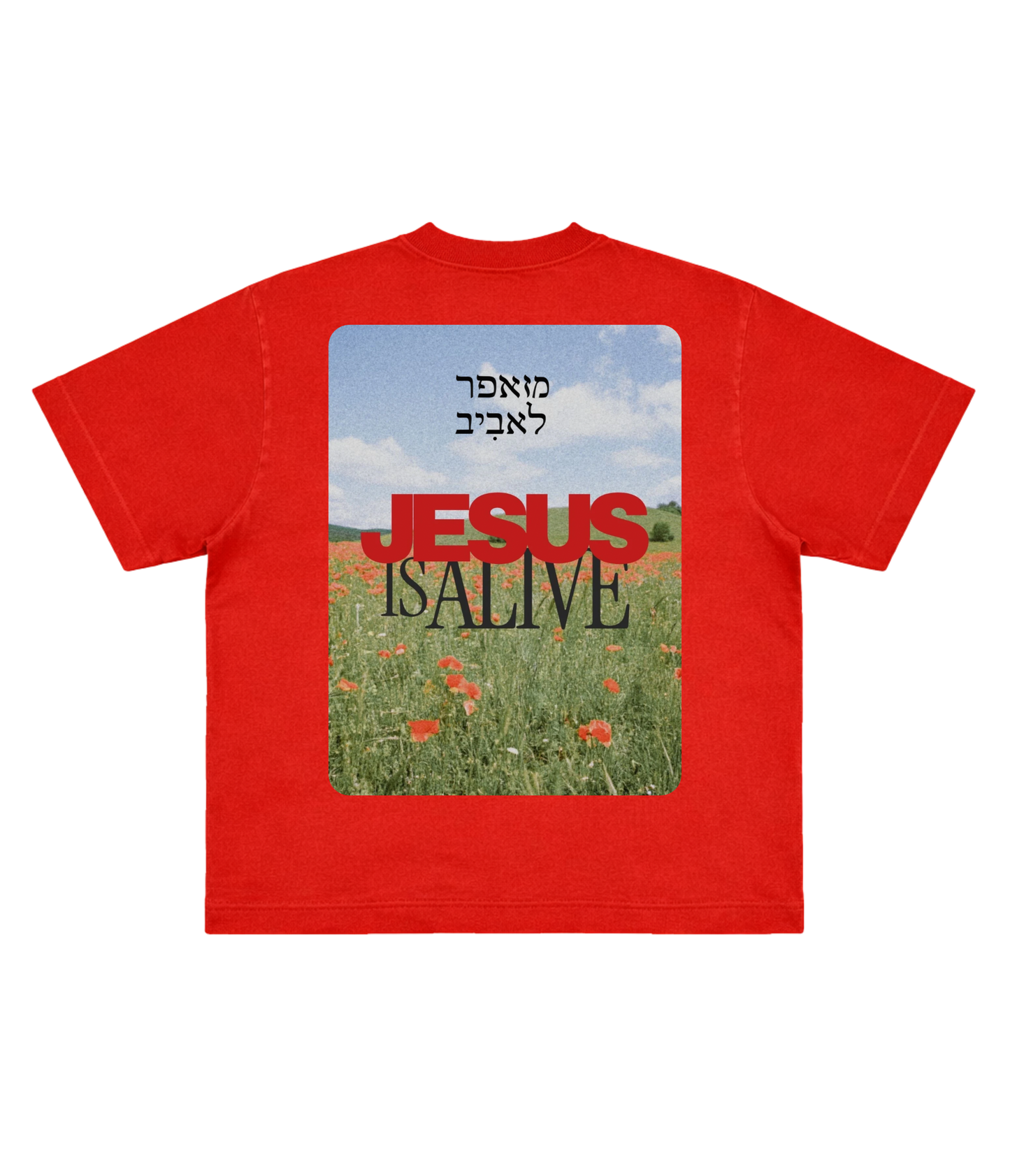 TEE BOXY 'JESUS IS ALIVE'