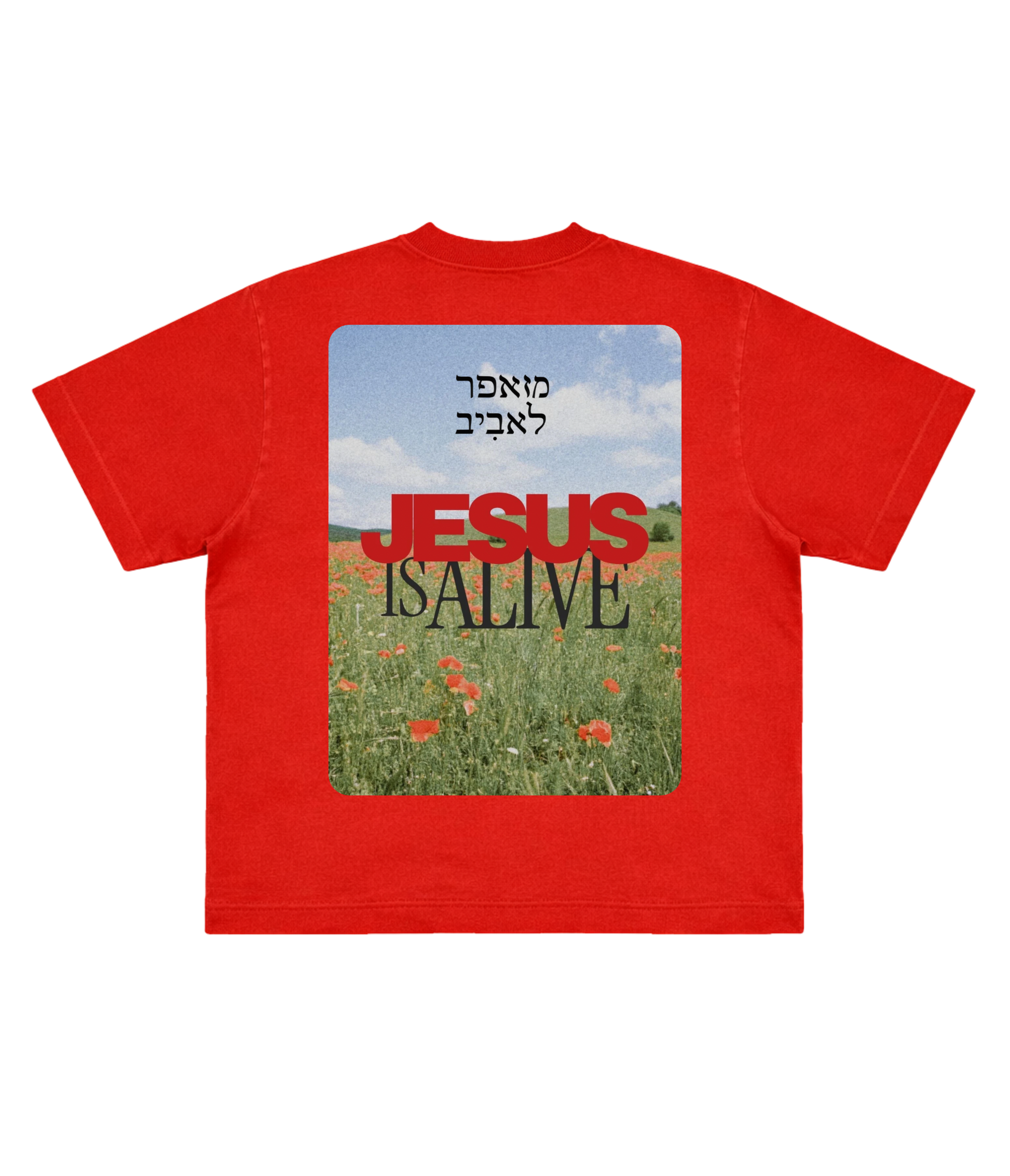 TEE BOXY 'JESUS IS ALIVE'